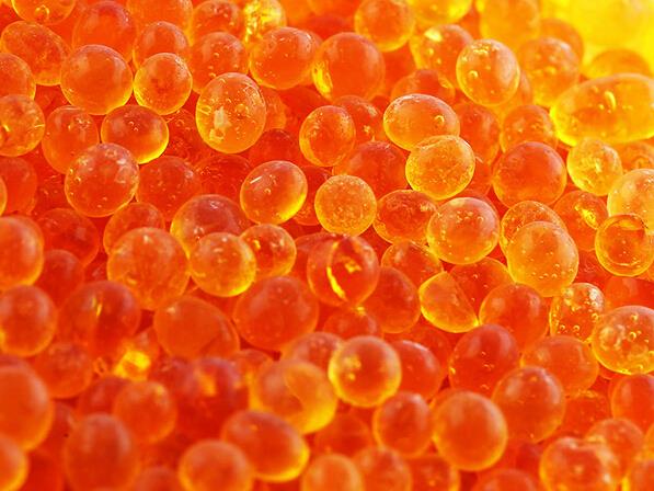 سیلیکاژل نارنجی